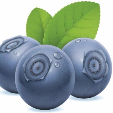 Blueberry Mortgages - Leicester Main Logo