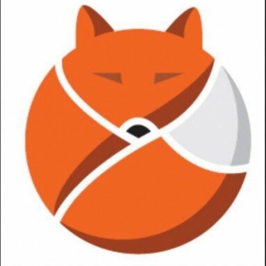 Fox Davidson Main Logo