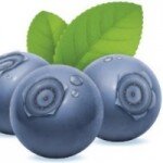 Blueberry Mortgages Main Logo