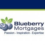 Blueberry Wealth Limited Main Logo