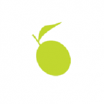 Lime Tree Financial Services Main Logo